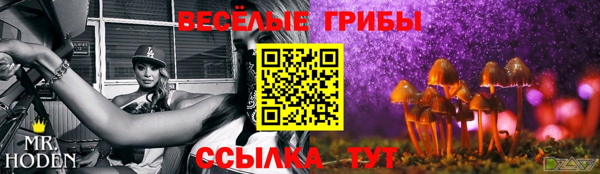 Галлюциногенные грибы MAGIC MUSHROOMS  что такое наркотик  Балахна  Псилоцибиновые грибы мухоморы  Вход с VPN 