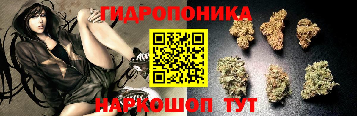 Каннабис сатива  Вход с VPN  Канабис Ganja  Балахна  Бошки Шишки OG Kush 